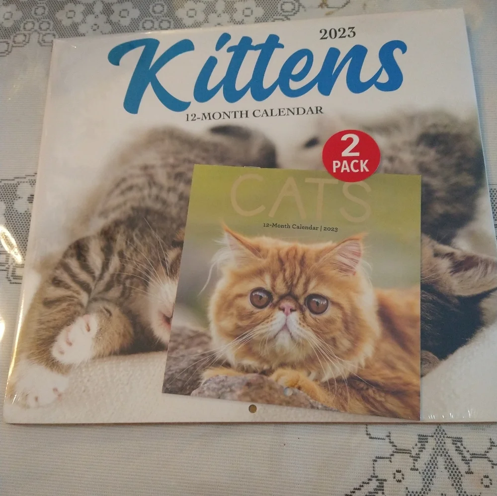 2023 Wall Calendar 12 Months and Pocket Calendar